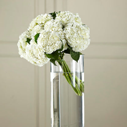 White Hydrangea Hand-Tied Bouquet – GOOSEBERRIES FLOWER SHOP BY BERKOT'S, Twin Lakes WI