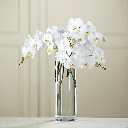 White Phalaenopsis Bouquet – GOOSEBERRIES FLOWER SHOP BY BERKOT'S, Twin Lakes WI