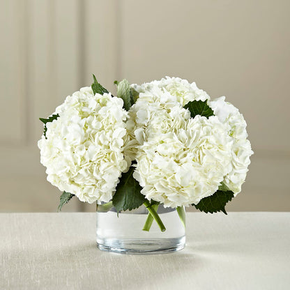 White Hydrangea Bouquet – GOOSEBERRIES FLOWER SHOP BY BERKOT'S, Twin Lakes WI