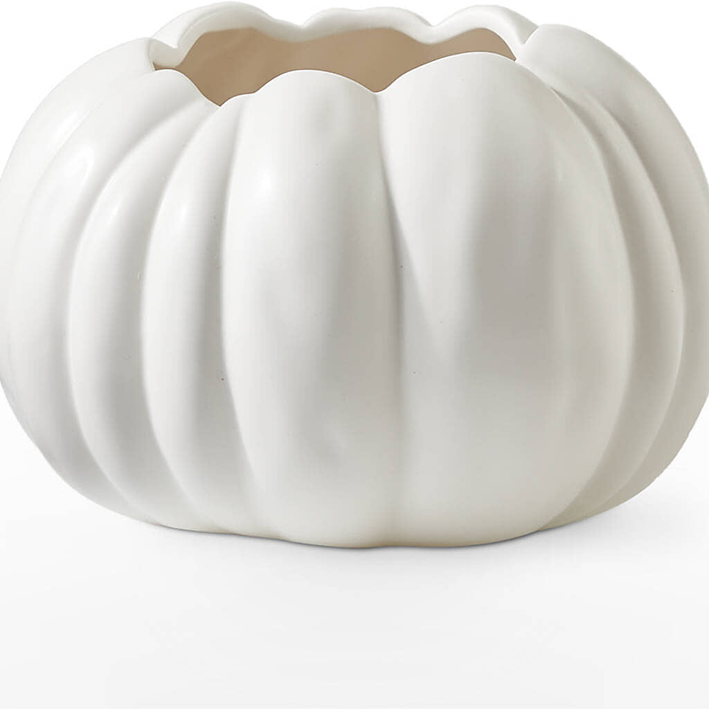 Autumn Air Pumpkin Bouquet – GOOSEBERRIES FLOWER SHOP BY BERKOT'S, Twin Lakes WI